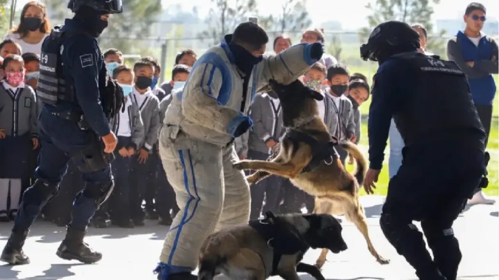Encabeza Mundo Tlatehui ceremonia cívica en la primaria oficial Justo Sierra en San Antonio Cacalotepec