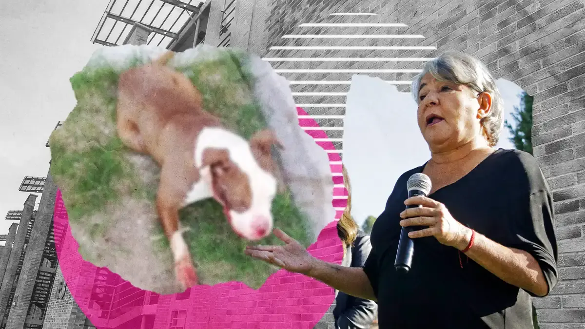 Denuncian ante FGE caso de perro aventado del cuarto piso en Puebla