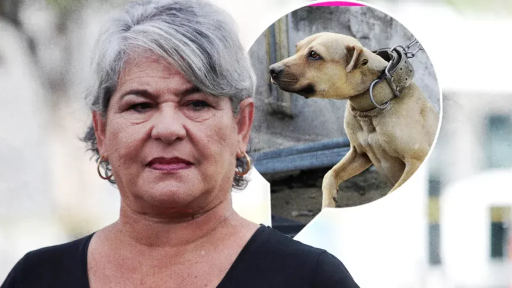 Sanciones penales aumentaron el número de denuncias por maltrato animal en Puebla