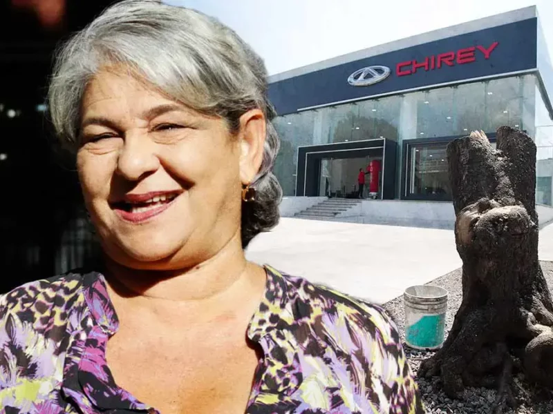 Ayuntamiento de Puebla indulta a Chirey; no será sancionada por ecocidio.