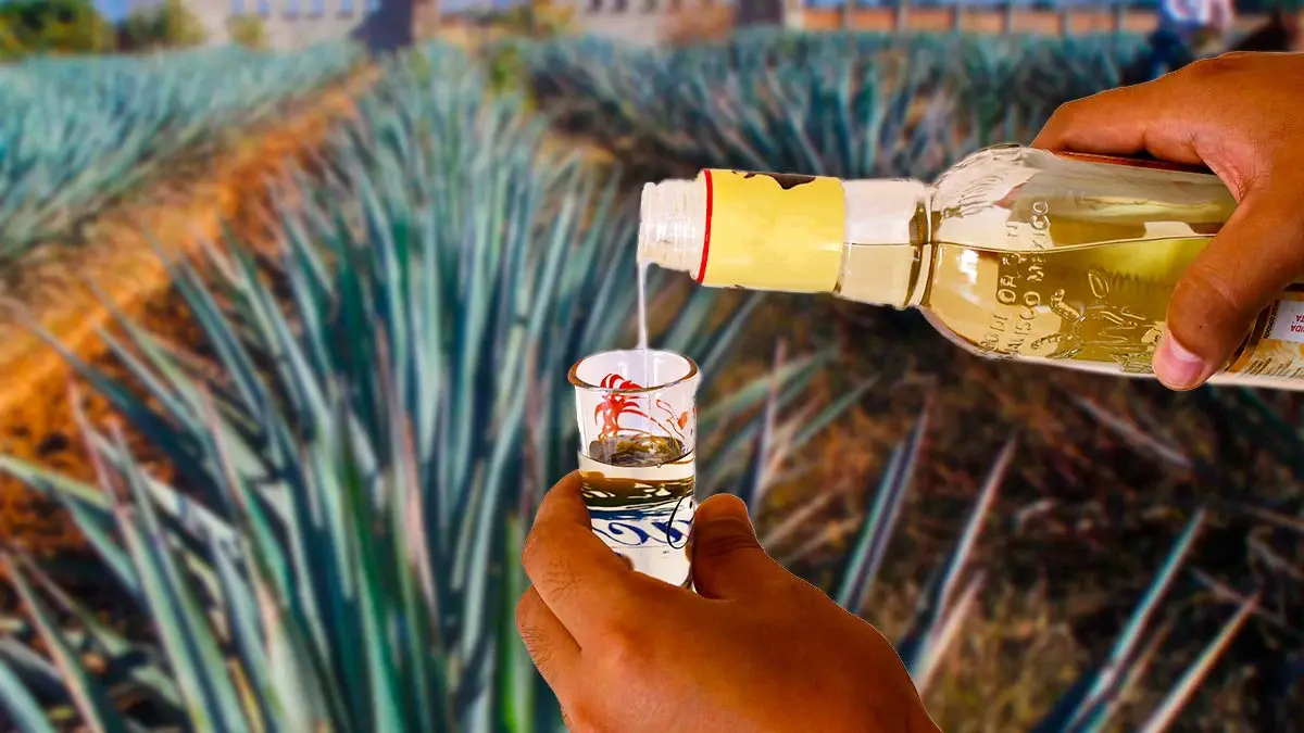 Checa estos cinco cócteles para festejar el Día Internacional del Tequila.
