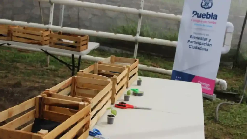 Ayuntamiento de Puebla invita a vivir un verano agroecológico