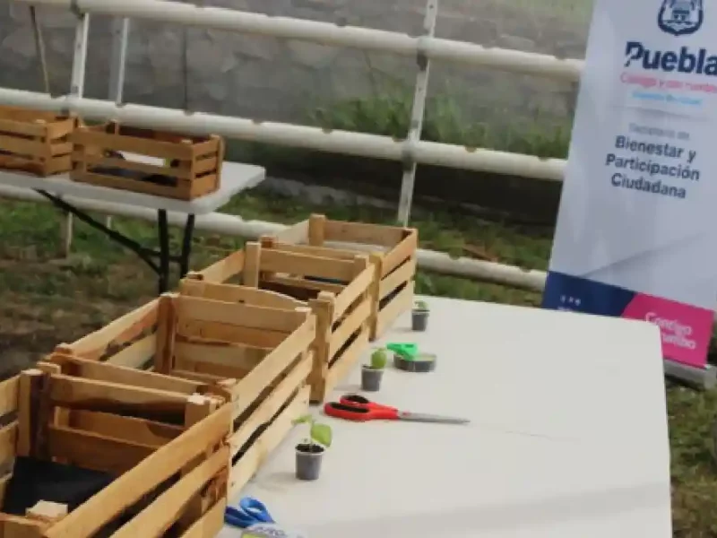 Ayuntamiento de Puebla invita a vivir un verano agroecológico
