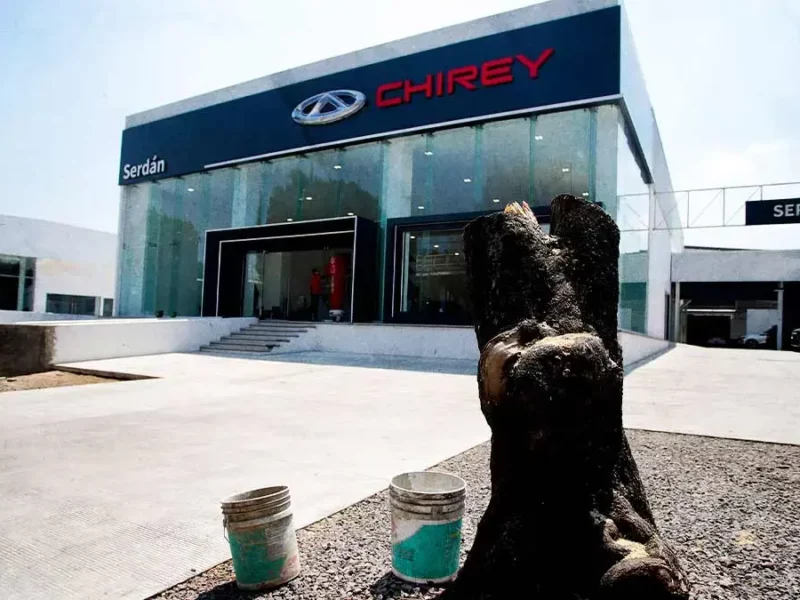 Activistas exigen a la FGE continuar con investigaciones contra Chirey por tala de árboles.