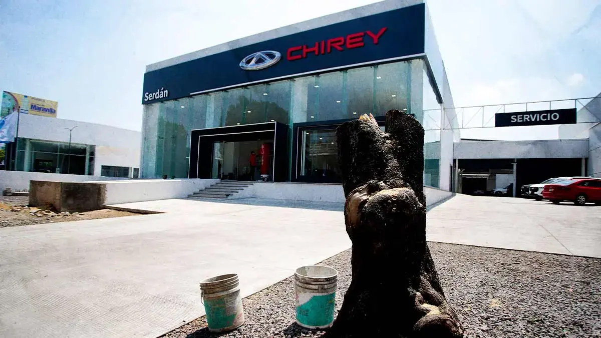 Activistas exigen a la FGE continuar con investigaciones contra Chirey por tala de árboles.
