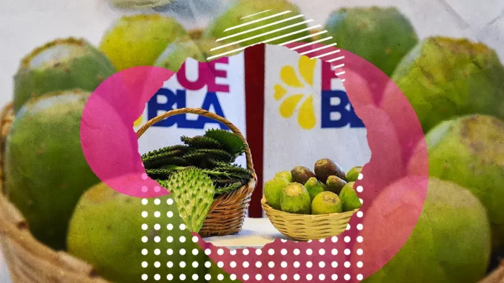 Habrá Feria de la tuna y el nopal en Acatzingo