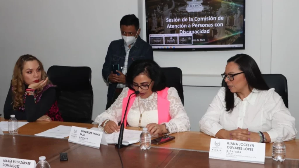 Presentan en Comisión del Congreso avances de la consulta a personas con discapacidad.