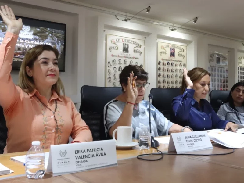 Informa Comisión del Congreso sobre convocatoria para la consulta en materia de movilidad y seguridad vial.