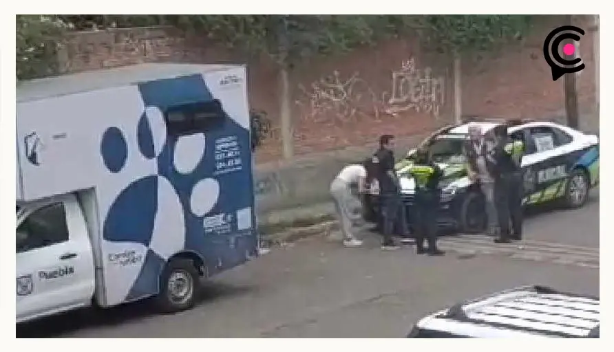 Acusan a otro menor por maltrato animal en la colonia Xilotzingo de Puebla