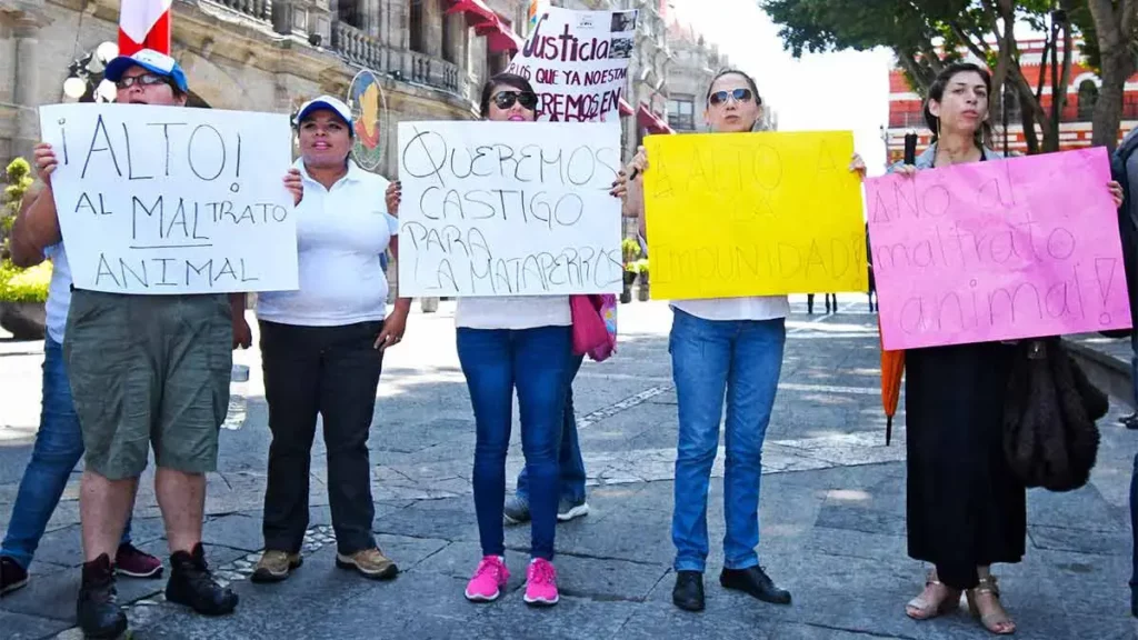 Convocan a nueva marcha contra maltrato animal en Puebla
