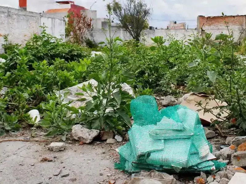 60 dueños de lotes baldíos en Puebla fueron notificados para su aseo; advierten multas.