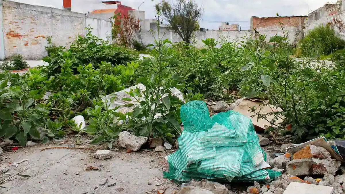 60 dueños de lotes baldíos en Puebla fueron notificados para su aseo; advierten multas.