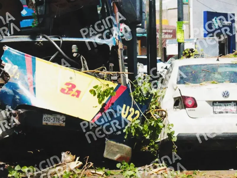 Ruta 3A choca contra árbol en Puebla; deja cinco heridos