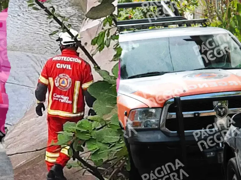 Cumplieron 24 horas de búsqueda de un hombre que cayó al río Alseseca