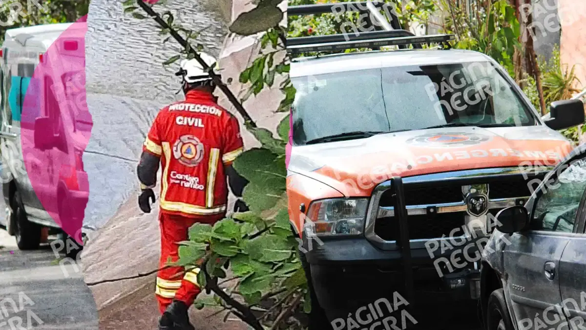 Cumplieron 24 horas de búsqueda de un hombre que cayó al río Alseseca