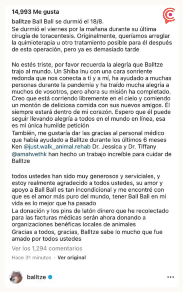 Muere Cheems, el perrito de los memes