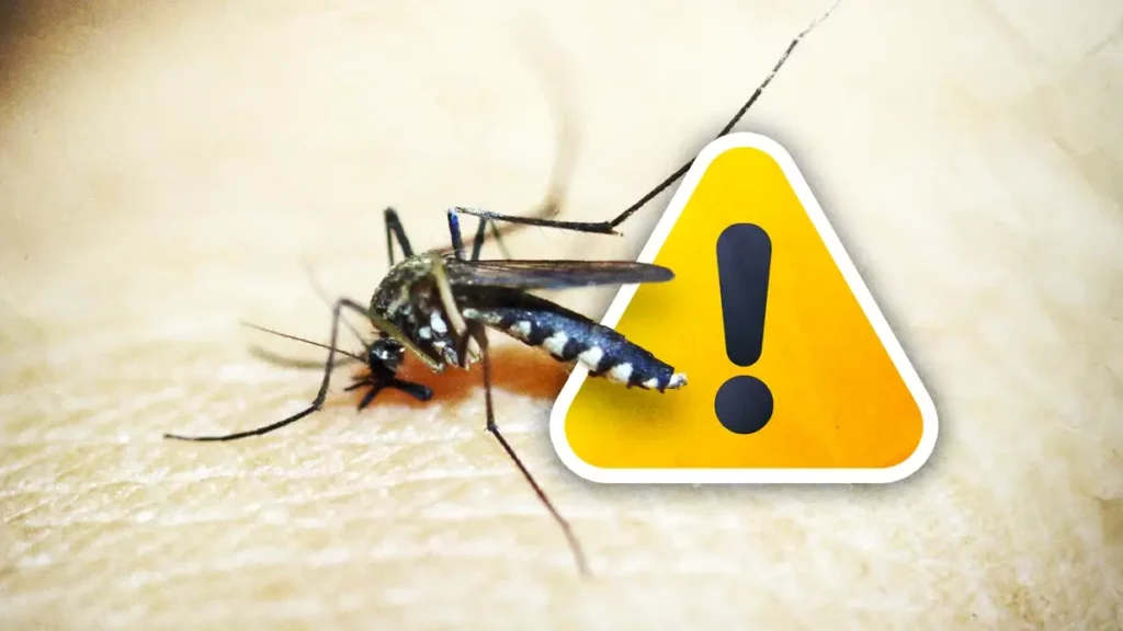 Sigue estas recomendaciones para evitar contagios de dengue.