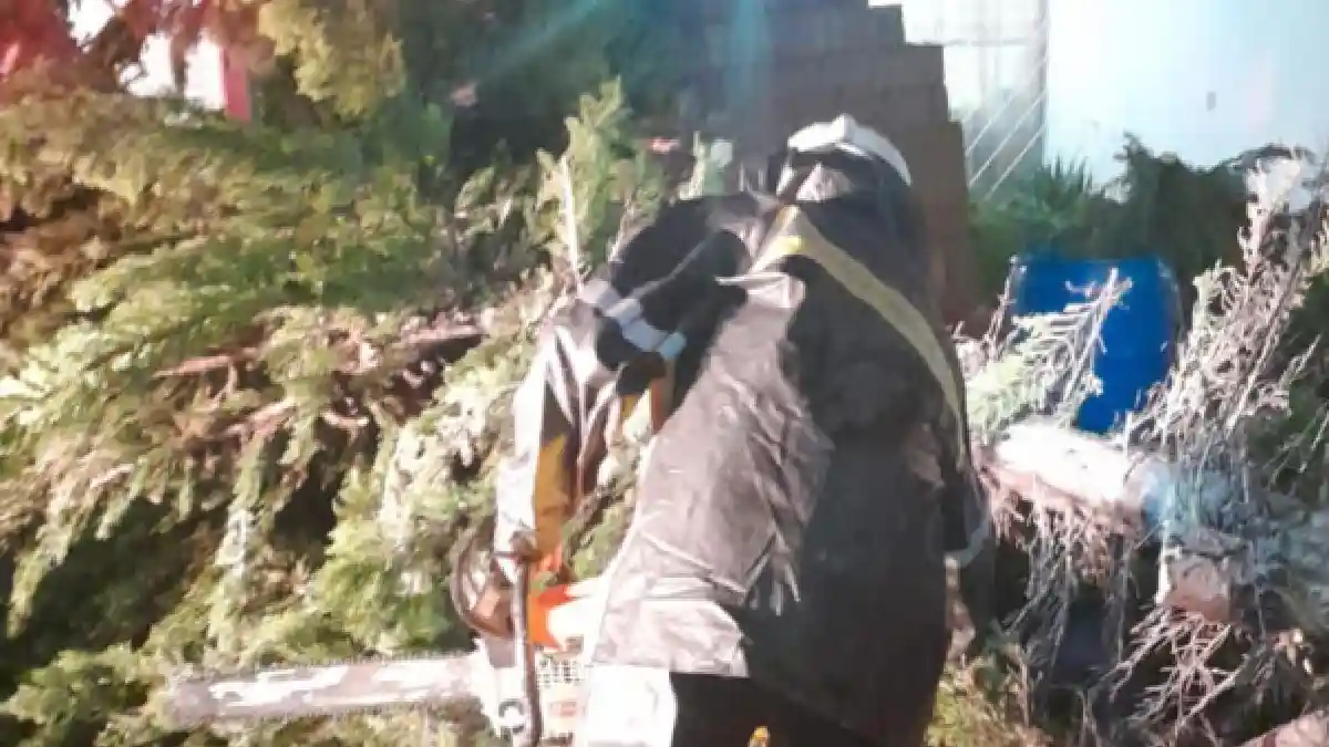 Ayuntamiento de Puebla reporta atención inmediata ante precipitación pluvial