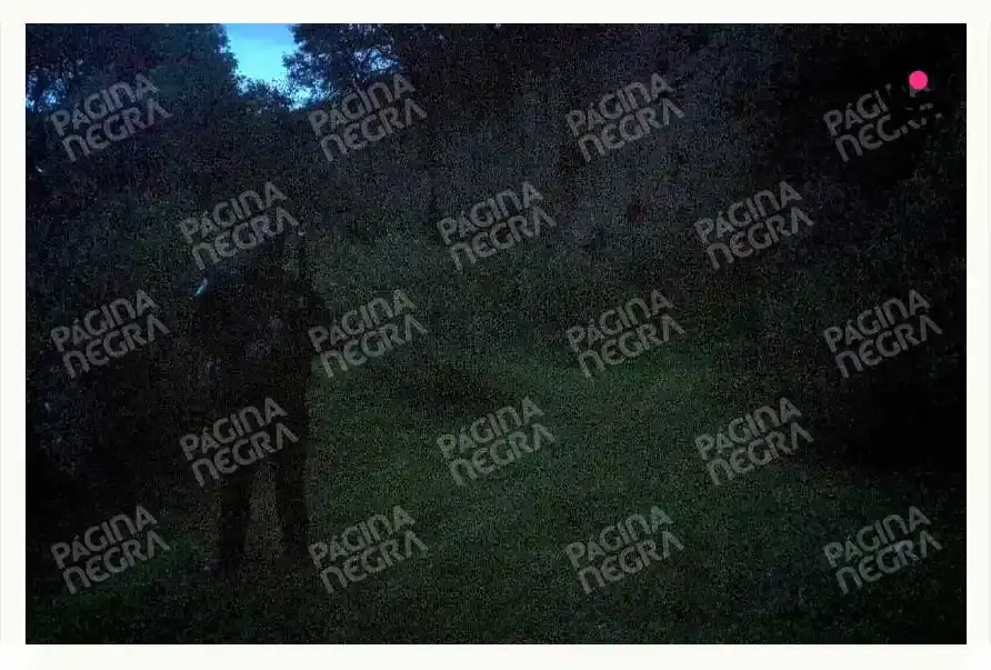 Hallan cadáver embolsado y desmembrado en la colonia Villa Guadalupe