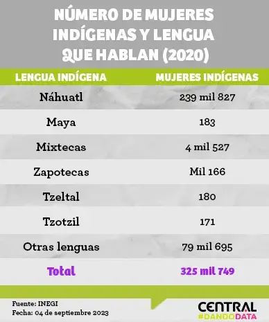 El panorama de las mujeres indígenas en Puebla; representan el 52% de los pueblos originarios