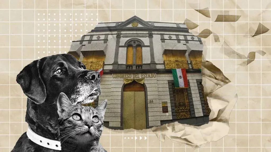 Estos son los pendientes del Congreso de Puebla contra el maltrato animal