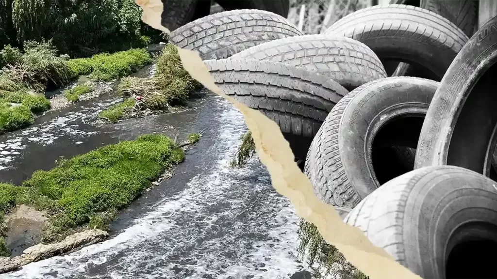 En tres días, OOSL Puebla recolectó 11 toneladas de llantas en el río Atoyac.