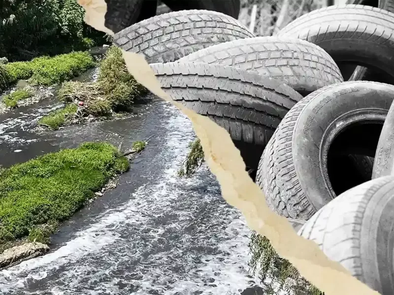 En tres días, OOSL Puebla recolectó 11 toneladas de llantas en el río Atoyac.