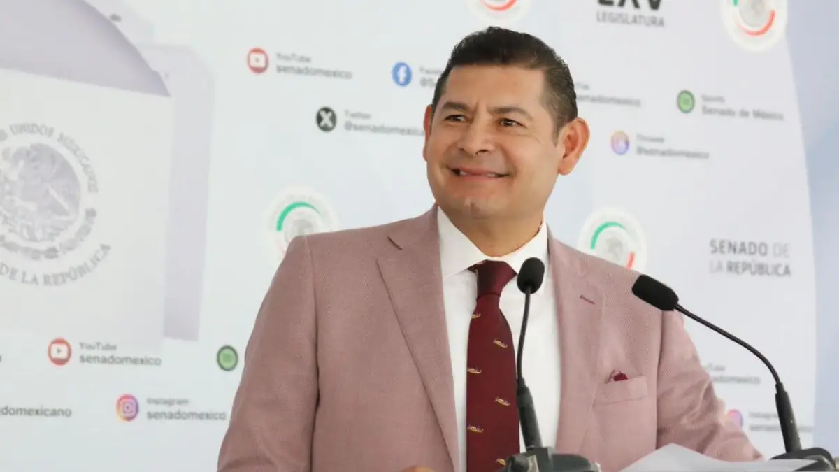 Comisión de Puntos Constitucionales se alista para avalar reformas que garantizan bienestar animal