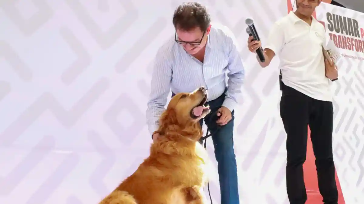 No solo los humanos, también las mascotas merecen una vida mejor: Nacho Mier