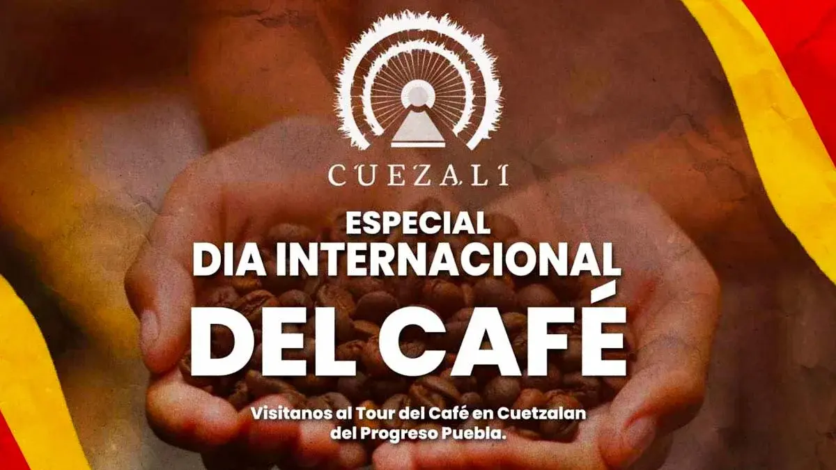 Café Gourmet poblano: lánzate al Tour del Café en Cuetzalan