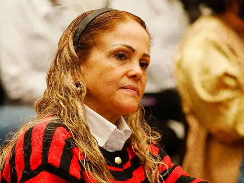 Olga Lucía Romero defiende elección del Consejo Estatal de Morena