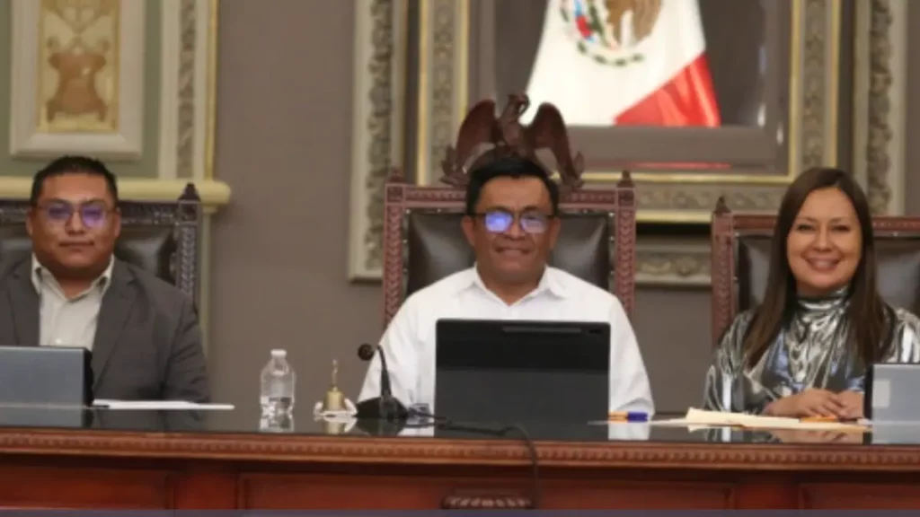 Presentan iniciativa en el Congreso para sancionar la exposición de animales a la quema de pirotecnia