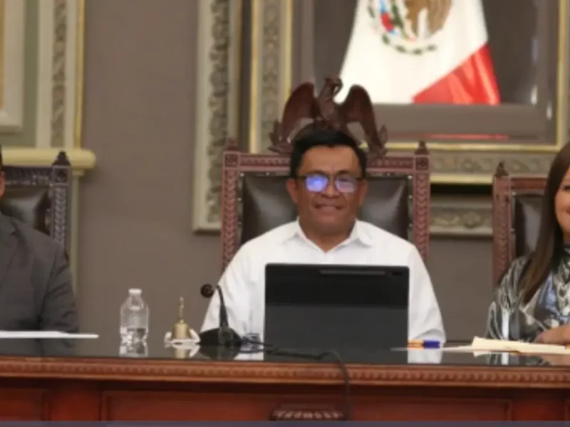 Presentan iniciativa en el Congreso para sancionar la exposición de animales a la quema de pirotecnia