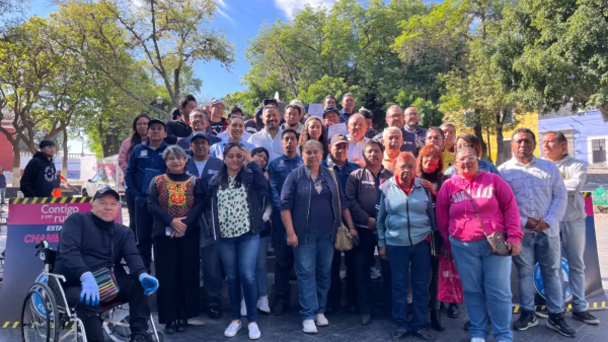 Arboleros se profesionalizan en técnicas de poda urbana y de altura