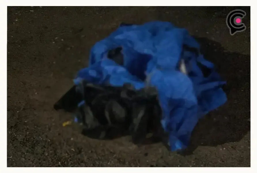 Abandonan dos cuerpos embolsados en el municipio de Amozoc