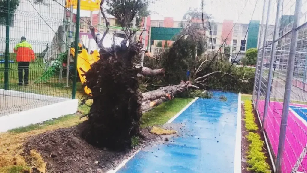 Cae árbol sobre una mujer y un niño en el Parque Las Hadas en Puebla