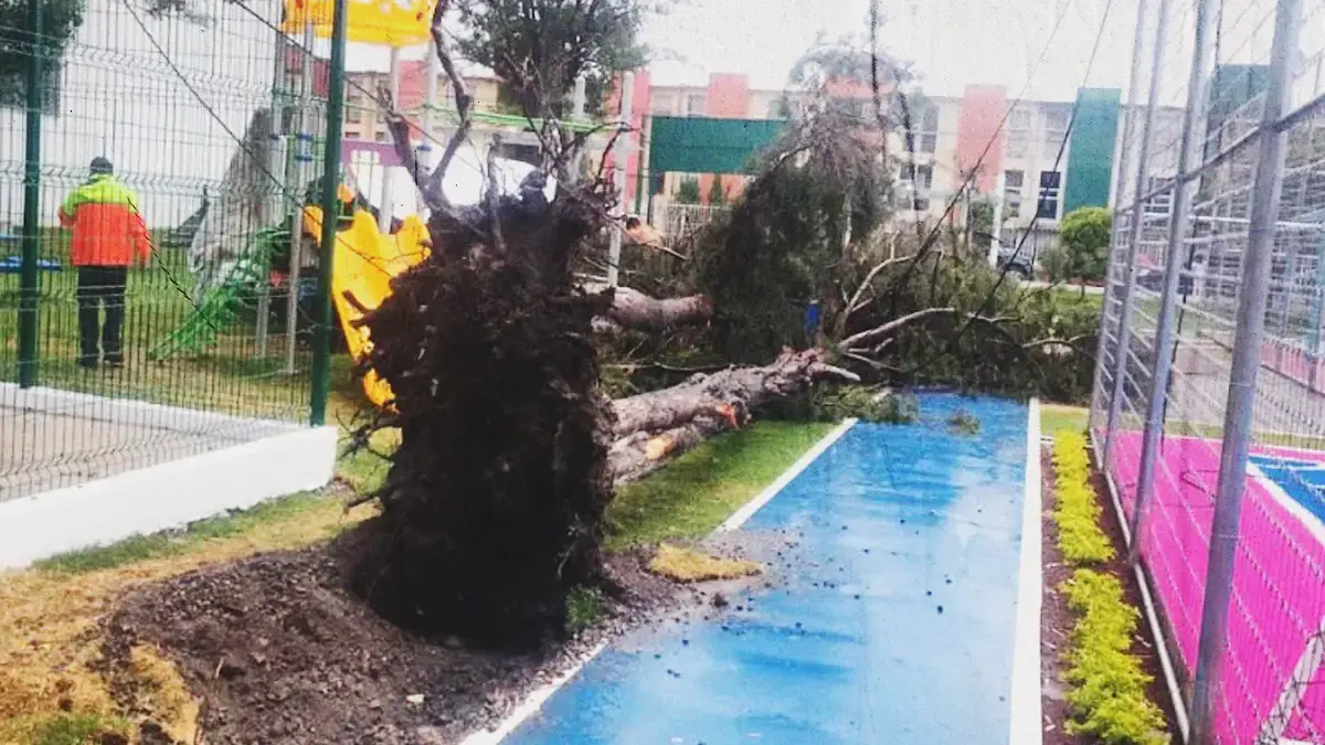 Cae árbol sobre una mujer y un niño en el Parque Las Hadas en Puebla