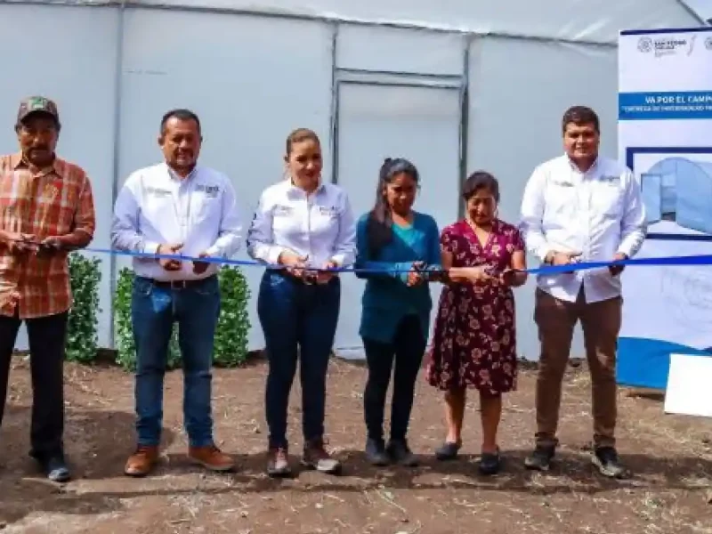 Paola Angon inicia la entrega de invernaderos de traspatio, para incentivar la agricultura familiar