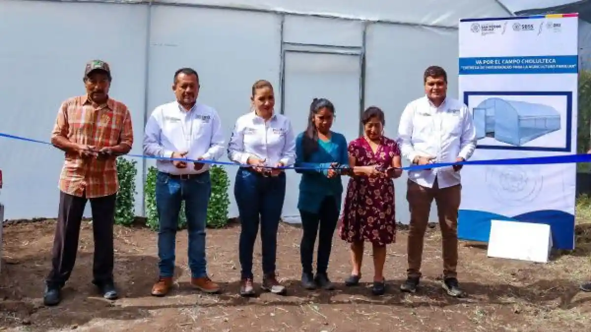 Paola Angon inicia la entrega de invernaderos de traspatio, para incentivar la agricultura familiar