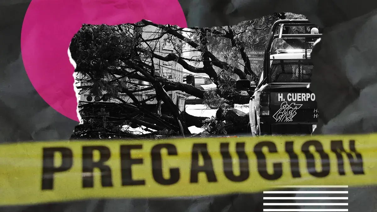 Indigente muere tras caerle encima un árbol en San Felipe Hueyotlipan