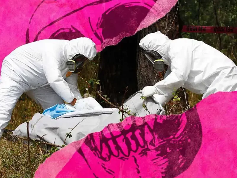 Fiscalía de Puebla no hizo pruebas para identificar 243 restos humanos encontrados durante 2022