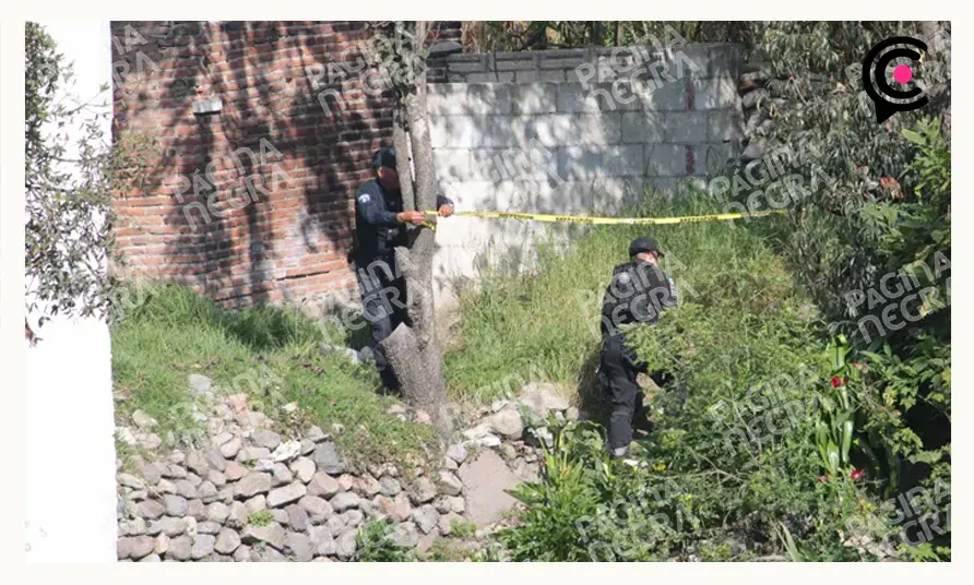 Asesinan a seis personas en un picadero de San Miguel Canoa
