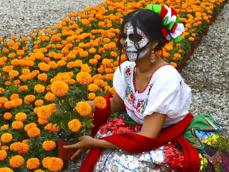 Del 25 de octubre al 02 de noviembre adquiere flor de temporada de Todos Santos en la plazuela Santa Rita, en Atlixco