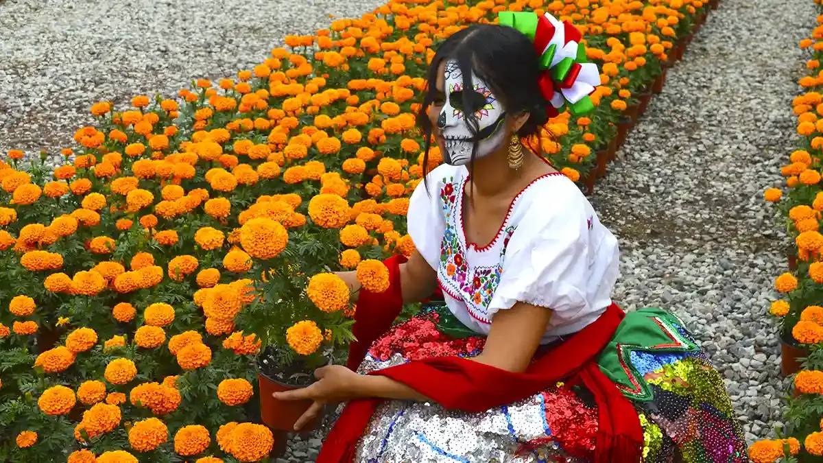 Del 25 de octubre al 02 de noviembre adquiere flor de temporada de Todos Santos en la plazuela Santa Rita, en Atlixco