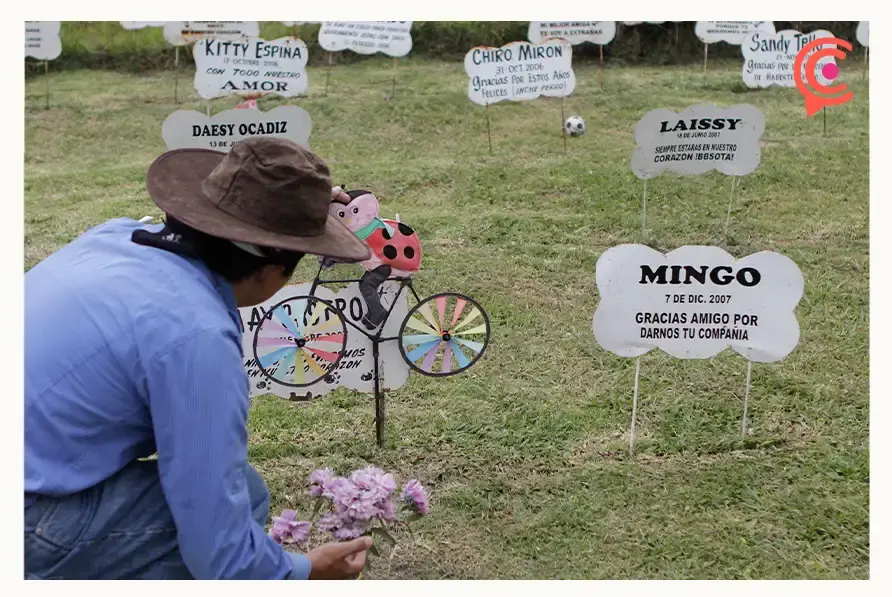 Conoce el cementerio de mascotas en Puebla