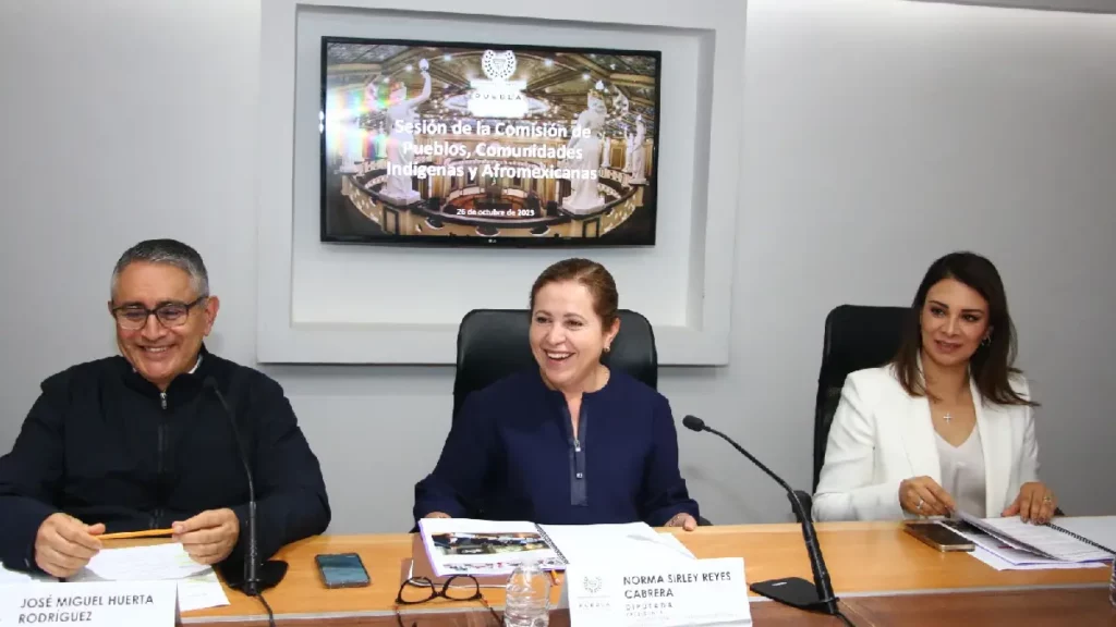 Comisión de Pueblos, Comunidades Indígenas y Afromexicanas presenta Informe Anual de Trabajo
