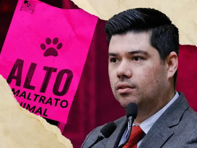 Movimientos animalistas acusan a Jimmy Natale de colgarse del trabajo de activistas