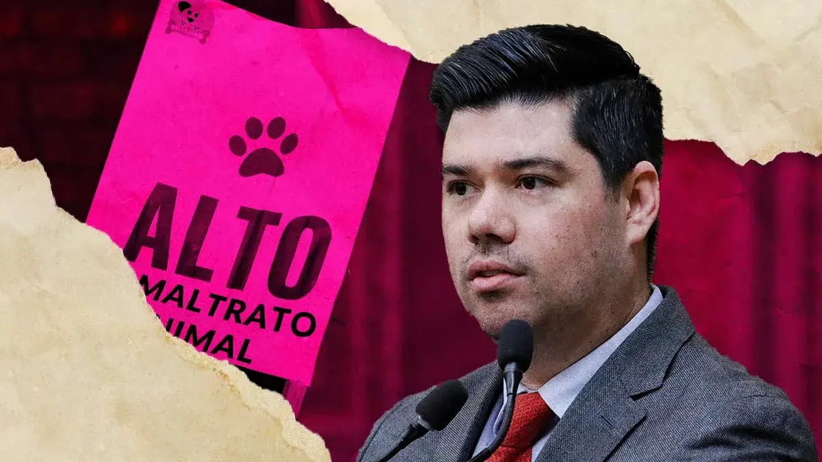 Movimientos animalistas acusan a Jimmy Natale de colgarse del trabajo de activistas