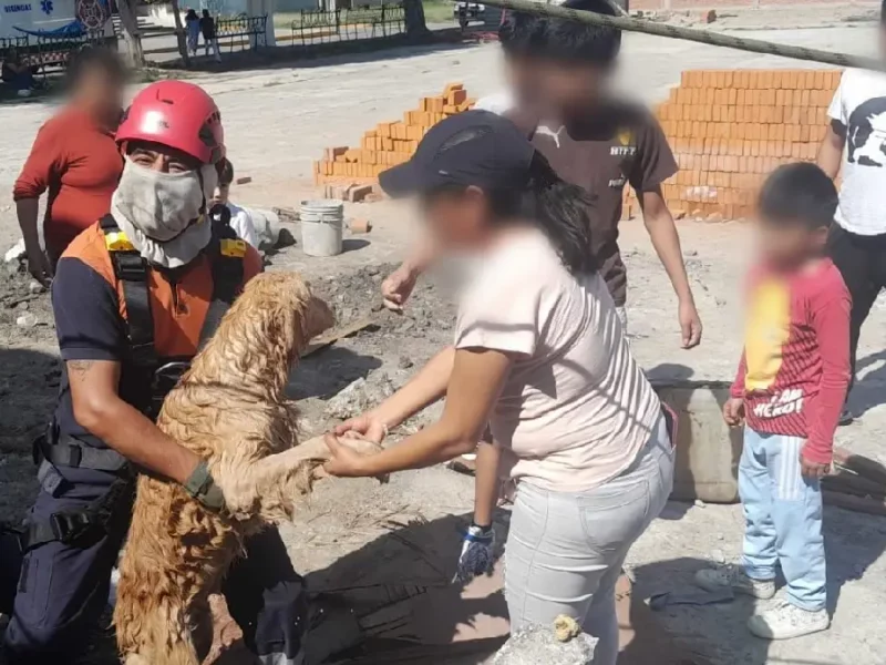 Tras caer 18 metros en un pozo, bomberos de San Andrés Cholula rescatan a dos canes
