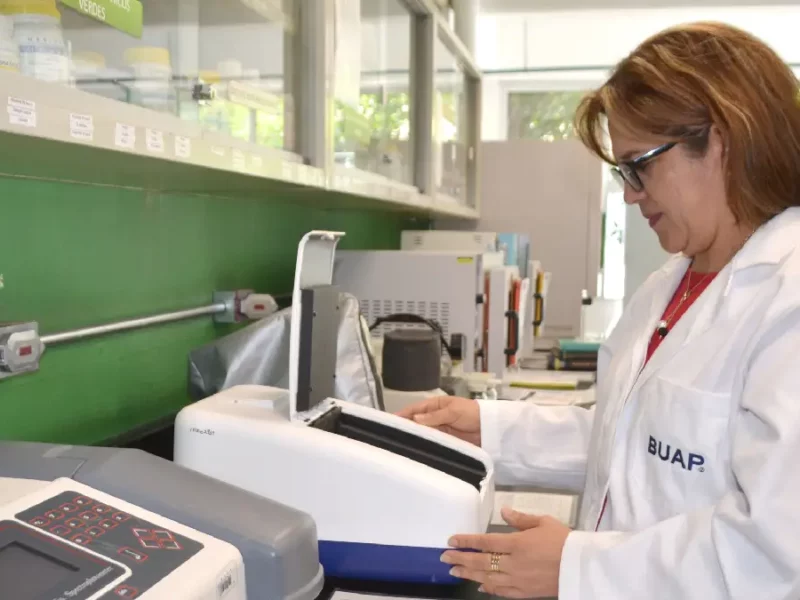 Investigadores BUAP contribuyen a lograr la inocuidad en la producción de cilantro en Puebla